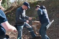 20130420-_MA11646.jpg